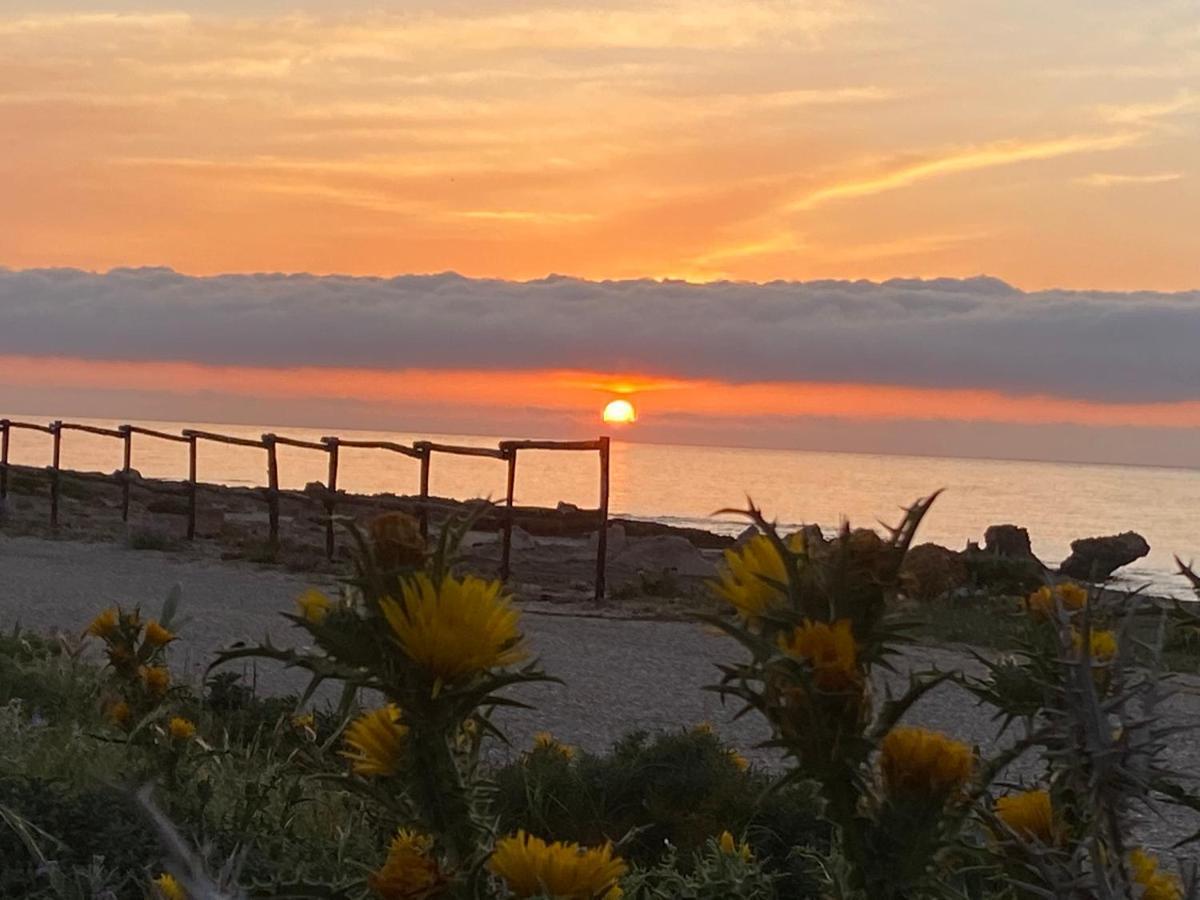 Cala Di Ponente Otel Castelluzzo Dış mekan fotoğraf