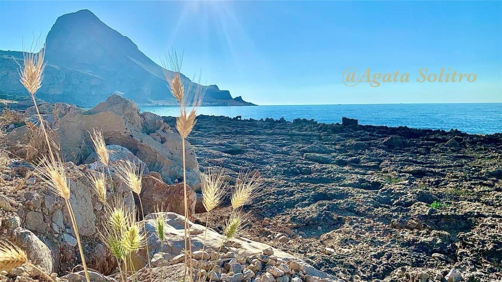 Cala Di Ponente Otel Castelluzzo Dış mekan fotoğraf