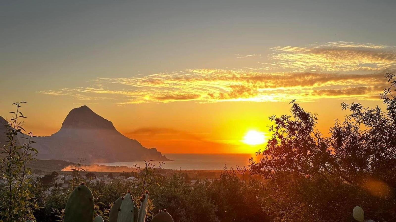 Cala Di Ponente Otel Castelluzzo Dış mekan fotoğraf